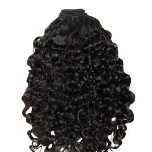 Brazilian Burmese Curly